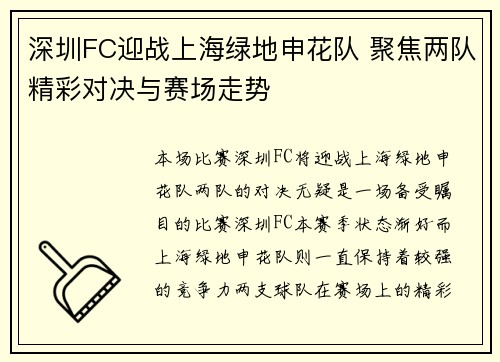 深圳FC迎战上海绿地申花队 聚焦两队精彩对决与赛场走势