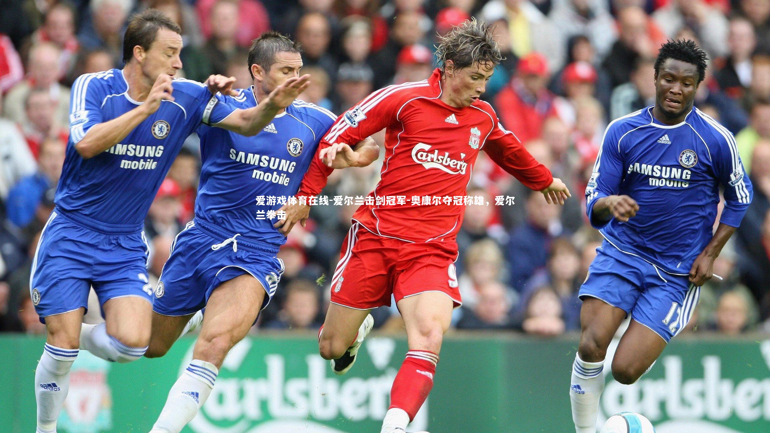 爱尔兰击剑冠军-奥康尔夺冠称雄，爱尔兰拳击